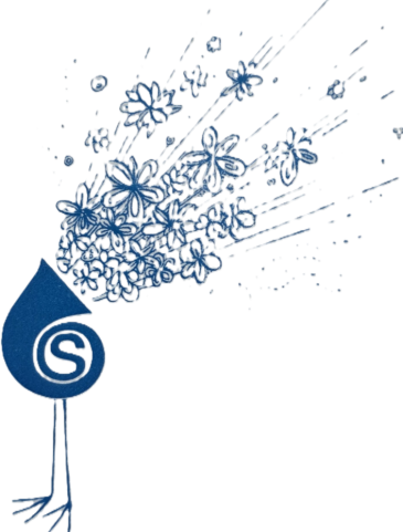 Logo Sebnitzer Kinder- und Jugendblasmusik